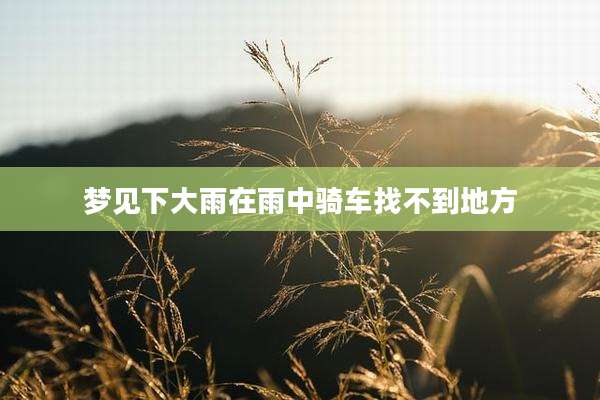 梦见下大雨在雨中骑车找不到地方