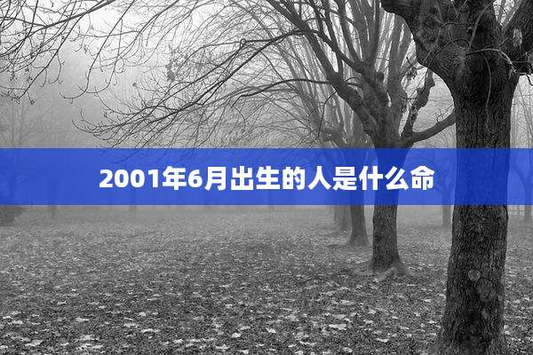 2001年6月出生的人是什么命