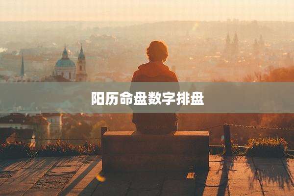 阳历命盘数字排盘