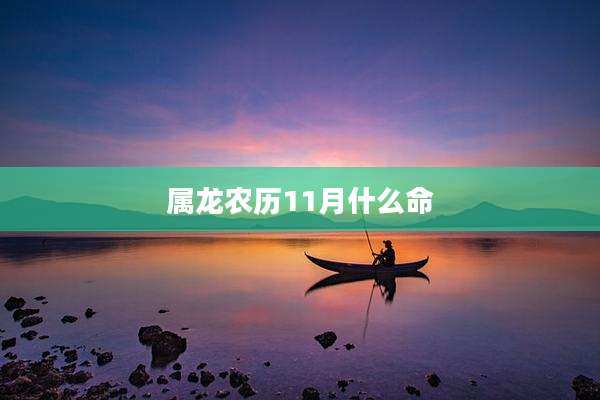 属龙农历11月什么命