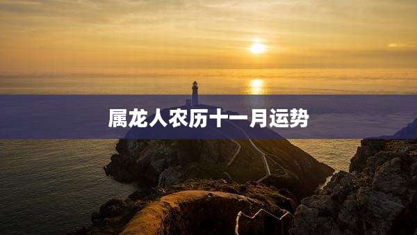 属龙人农历十一月运势