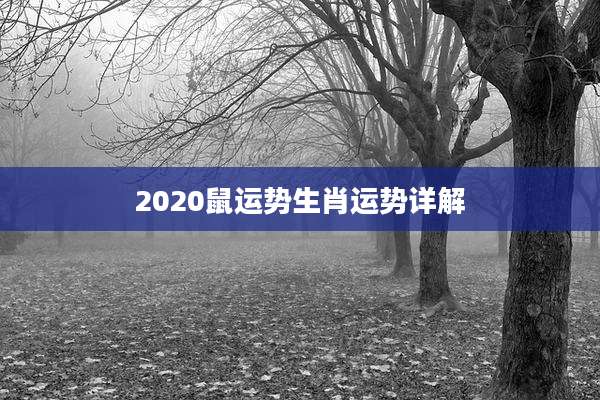 2020鼠运势生肖运势详解