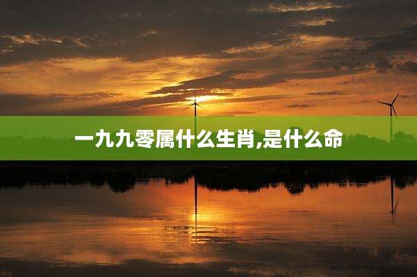 一九九零属什么生肖,是什么命