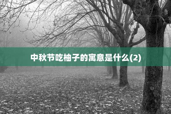 中秋节吃柚子的寓意是什么(2)