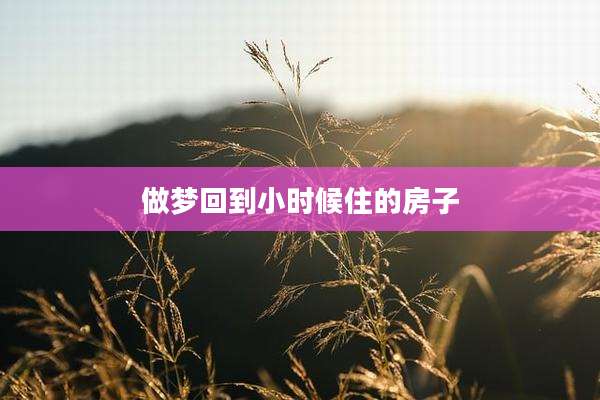 做梦回到小时候住的房子
