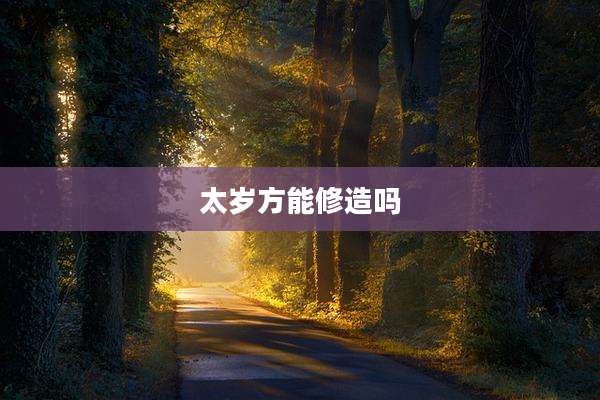 太岁方能修造吗