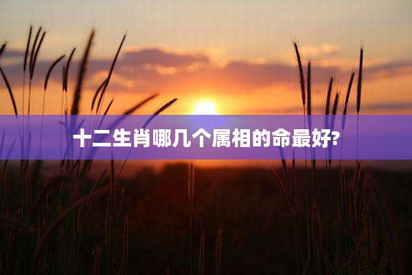 十二生肖哪几个属相的命最好?