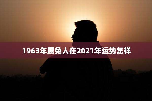 1963年属兔人在2021年运势怎样