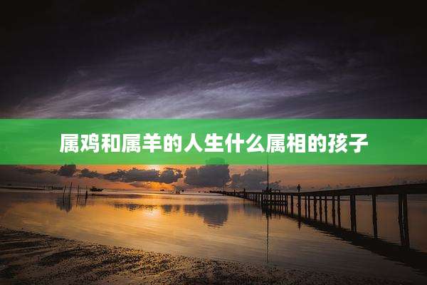 属鸡和属羊的人生什么属相的孩子