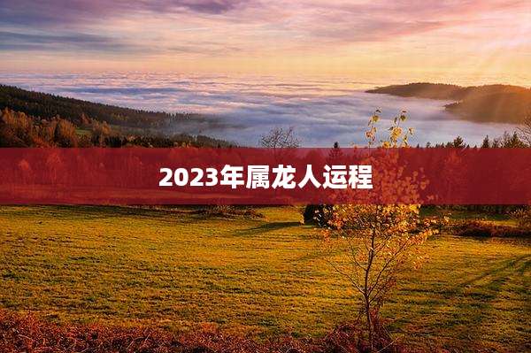 2023年属龙人运程