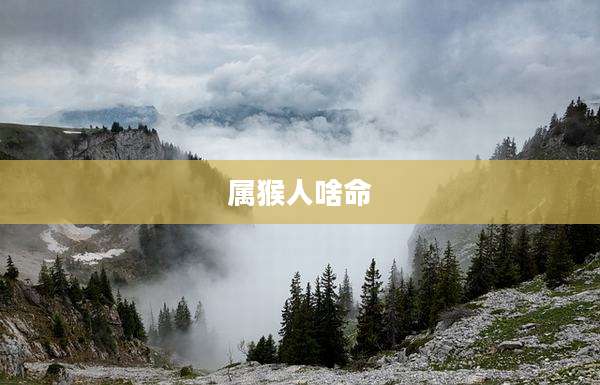 属猴人啥命