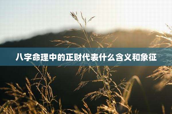 八字命理中的正财代表什么含义和象征