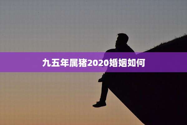 九五年属猪2020婚姻如何