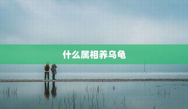 什么属相养乌龟