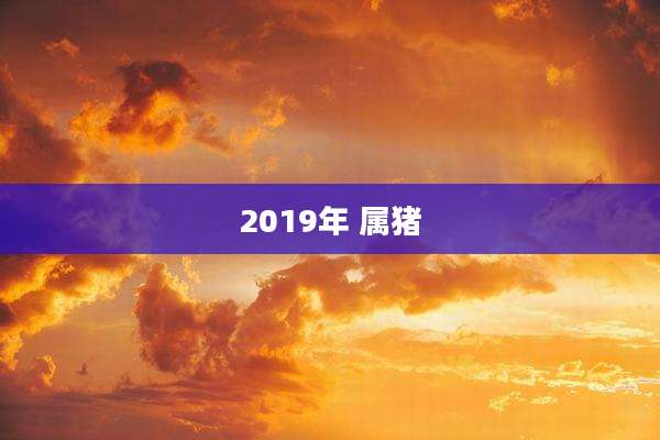 2019年 属猪