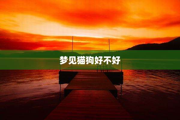 梦见猫狗好不好