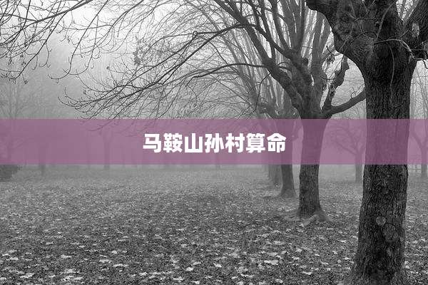 马鞍山孙村算命