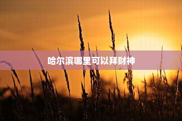 哈尔滨哪里可以拜财神