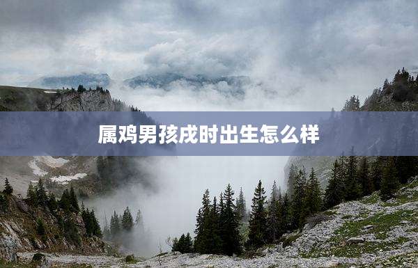 属鸡男孩戌时出生怎么样