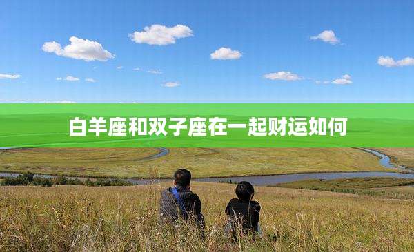 白羊座和双子座在一起财运如何