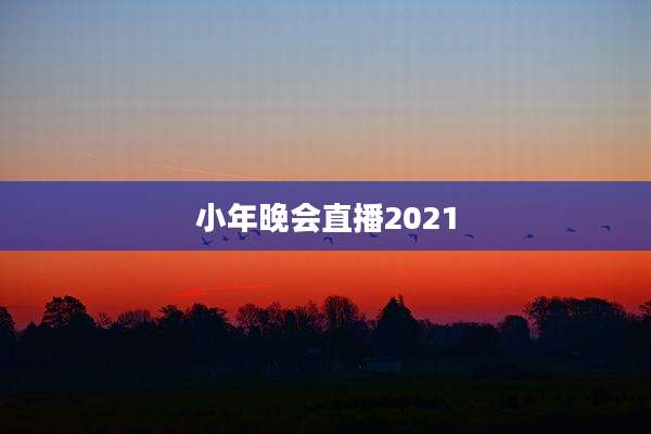 小年晚会直播2021