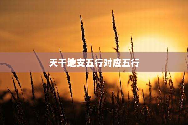 天干地支五行对应五行