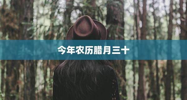 今年农历腊月三十