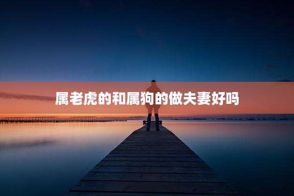 属老虎的和属狗的做夫妻好吗