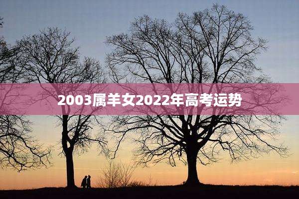2003属羊女2022年高考运势