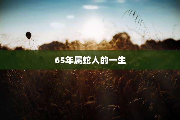 65年属蛇人的一生