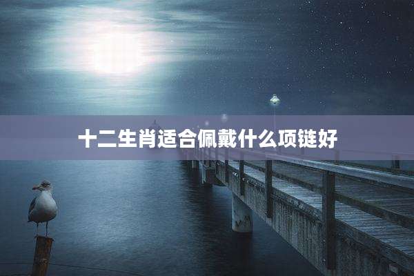 十二生肖适合佩戴什么项链好