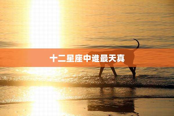 十二星座中谁最天真