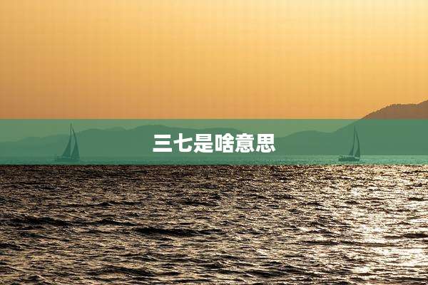 三七是啥意思