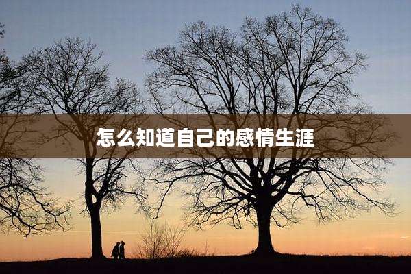 怎么知道自己的感情生涯