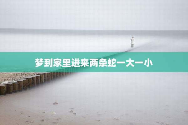梦到家里进来两条蛇一大一小