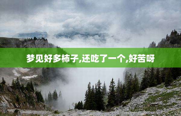 梦见好多柿子,还吃了一个,好苦呀