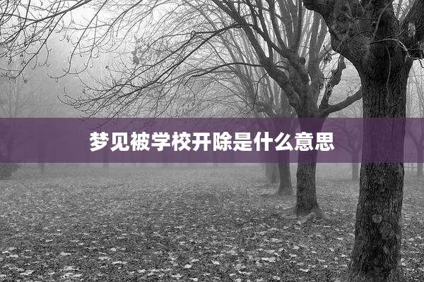 梦见被学校开除是什么意思