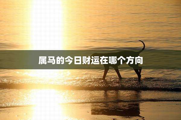 属马的今日财运在哪个方向