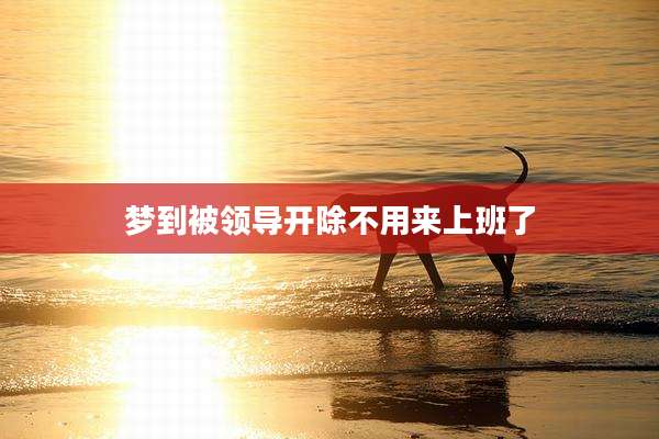 梦到被领导开除不用来上班了