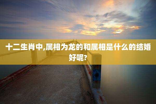 十二生肖中,属相为龙的和属相是什么的结婚好呢?