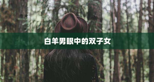 白羊男眼中的双子女