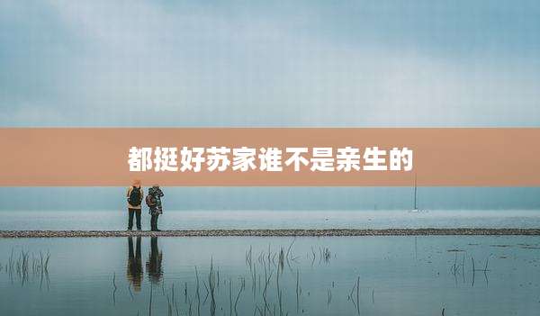 都挺好苏家谁不是亲生的