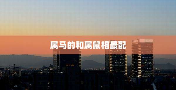 属马的和属鼠相最配
