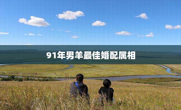 91年男羊最佳婚配属相