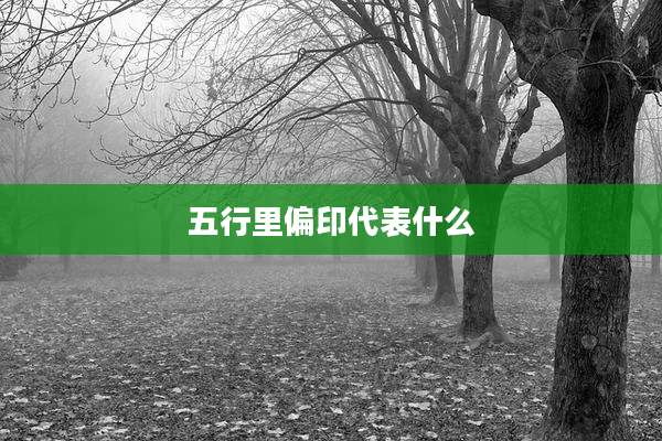五行里偏印代表什么