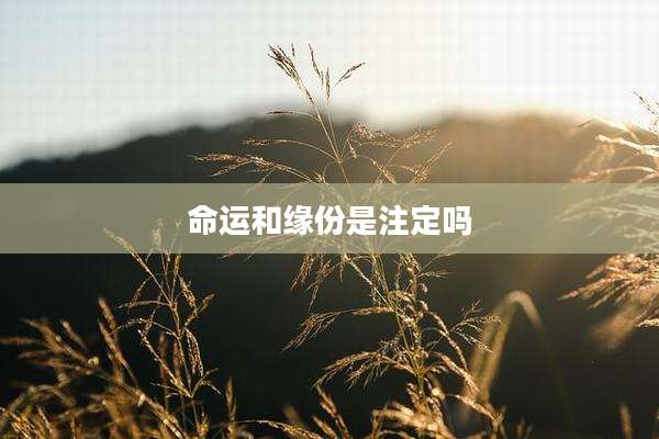 命运和缘份是注定吗