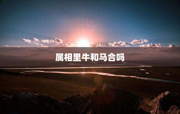 属相里牛和马合吗