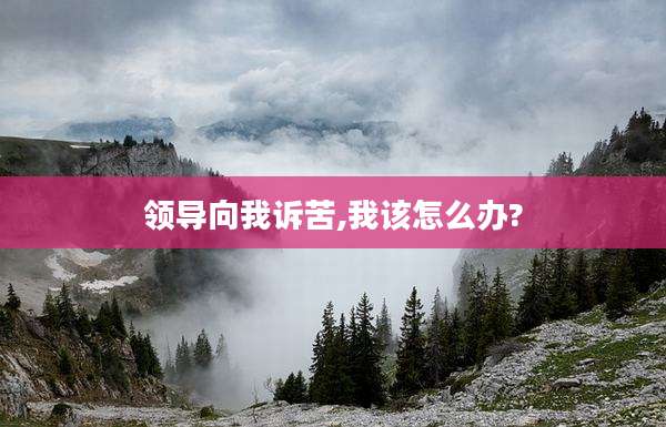 领导向我诉苦,我该怎么办?