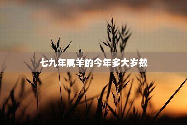 七九年属羊的今年多大岁数