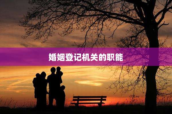 婚姻登记机关的职能